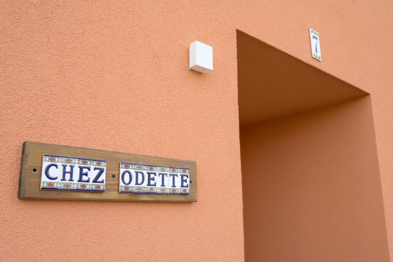 Chez Odette - Spa, Plancha, Parking Albi Exterior foto